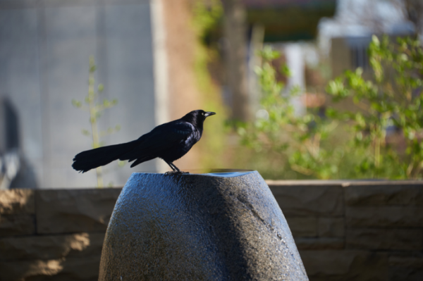 Travel Photography for Brands - Image 7